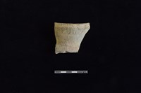 藏品(陶罐)的圖片